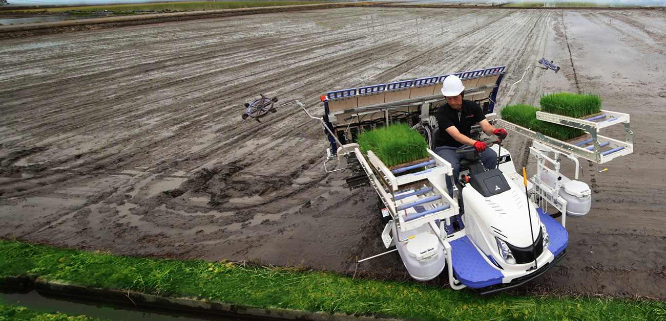 Mechanical Rice Transplanter Services